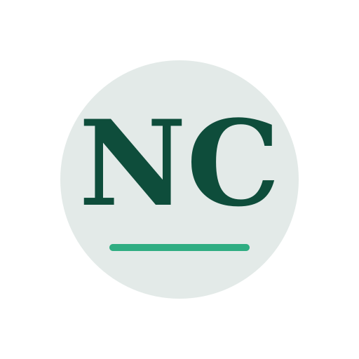 Nolo Chimney Repair logo